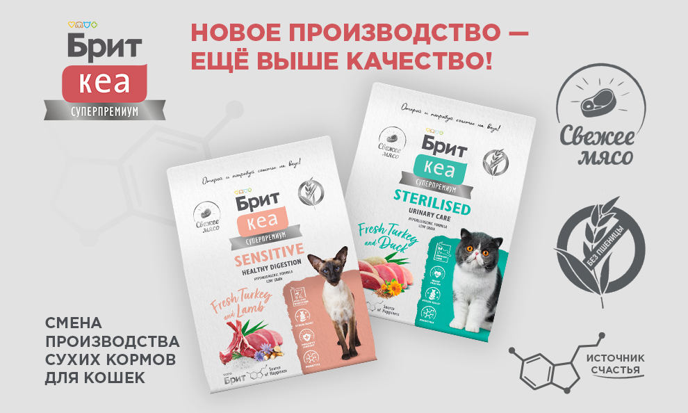 Новое производство Брит Кеа🚩 Новое производство Брит Кеа🚩