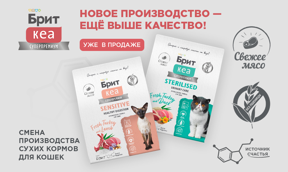 Новое производство Брит Кеа🏔