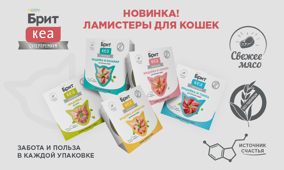 Ламистеры Брит Кеа✨