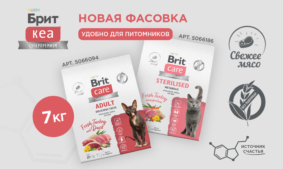 Новинка Брит Кеа😻