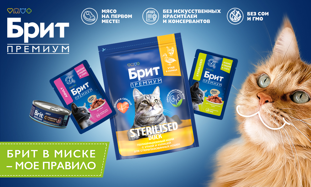 Главное правило✔ Главное правило✔