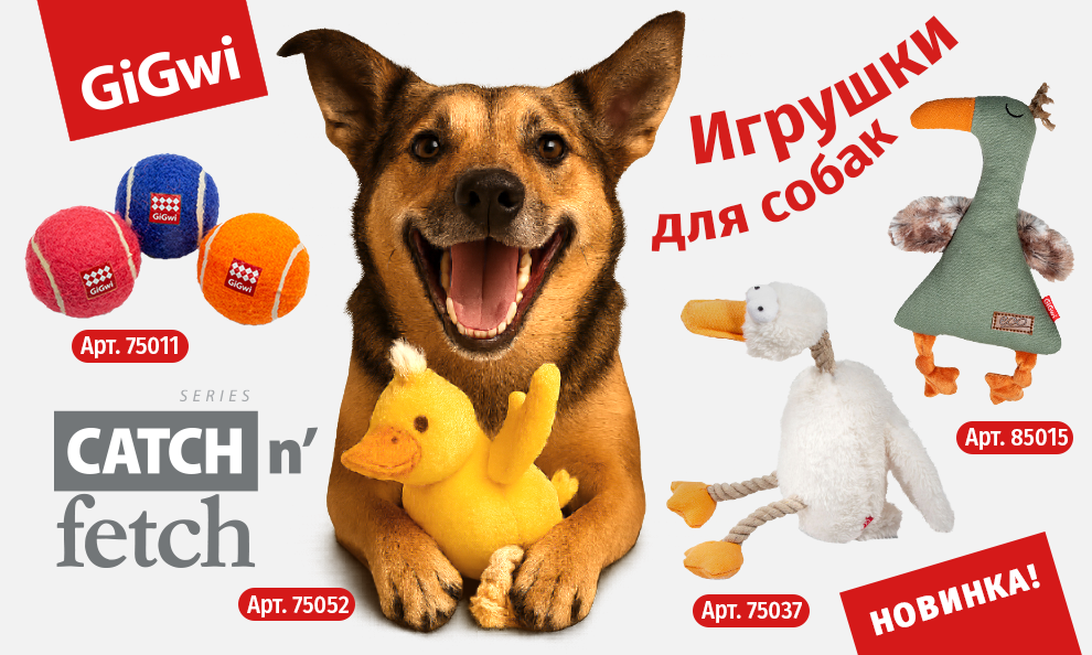 GiGwi Catch&Fetch🐶 GiGwi Catch&Fetch🐶