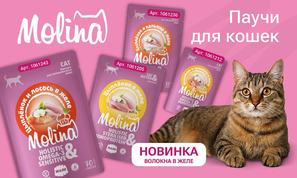 Паучи Molina💗