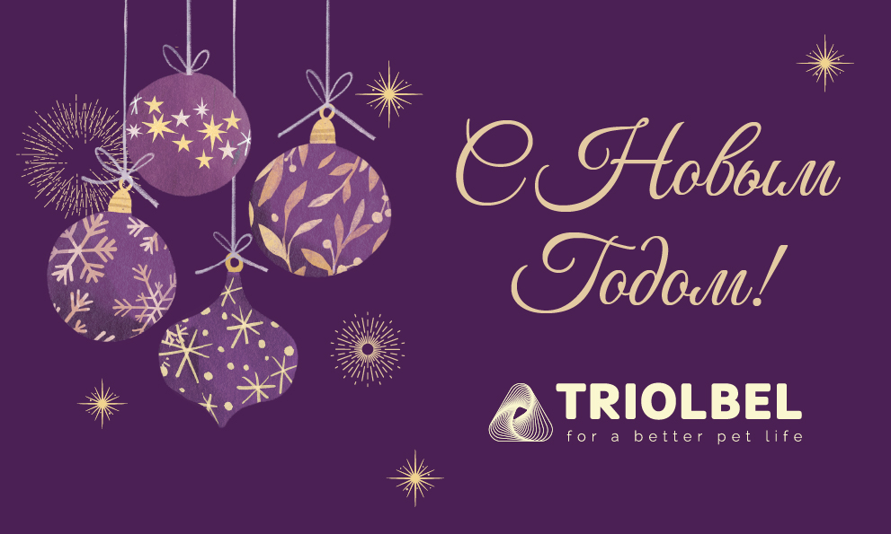 С наступающим Новым Годом🎄