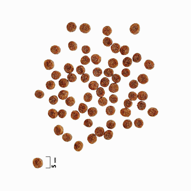 Brit Premium Корм сухой для котят с курицей Cat Kitten, 2 кг 8