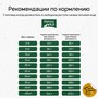 Natura Wild Беззерновой корм для превередлевых собак всех пород с ягненком и французской свининой Ontario Wildland, 12 кг 7